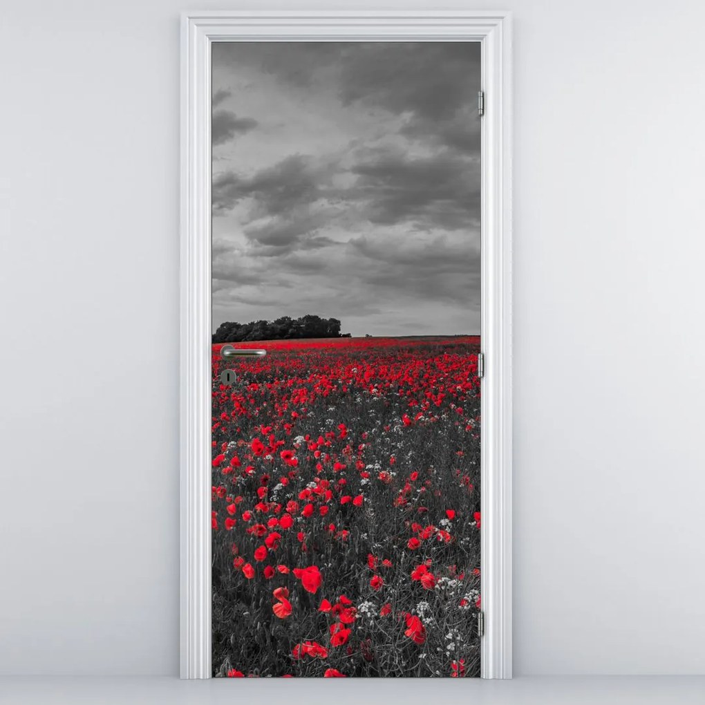 Fototapet pentru ușă - Maci (95x205cm)
