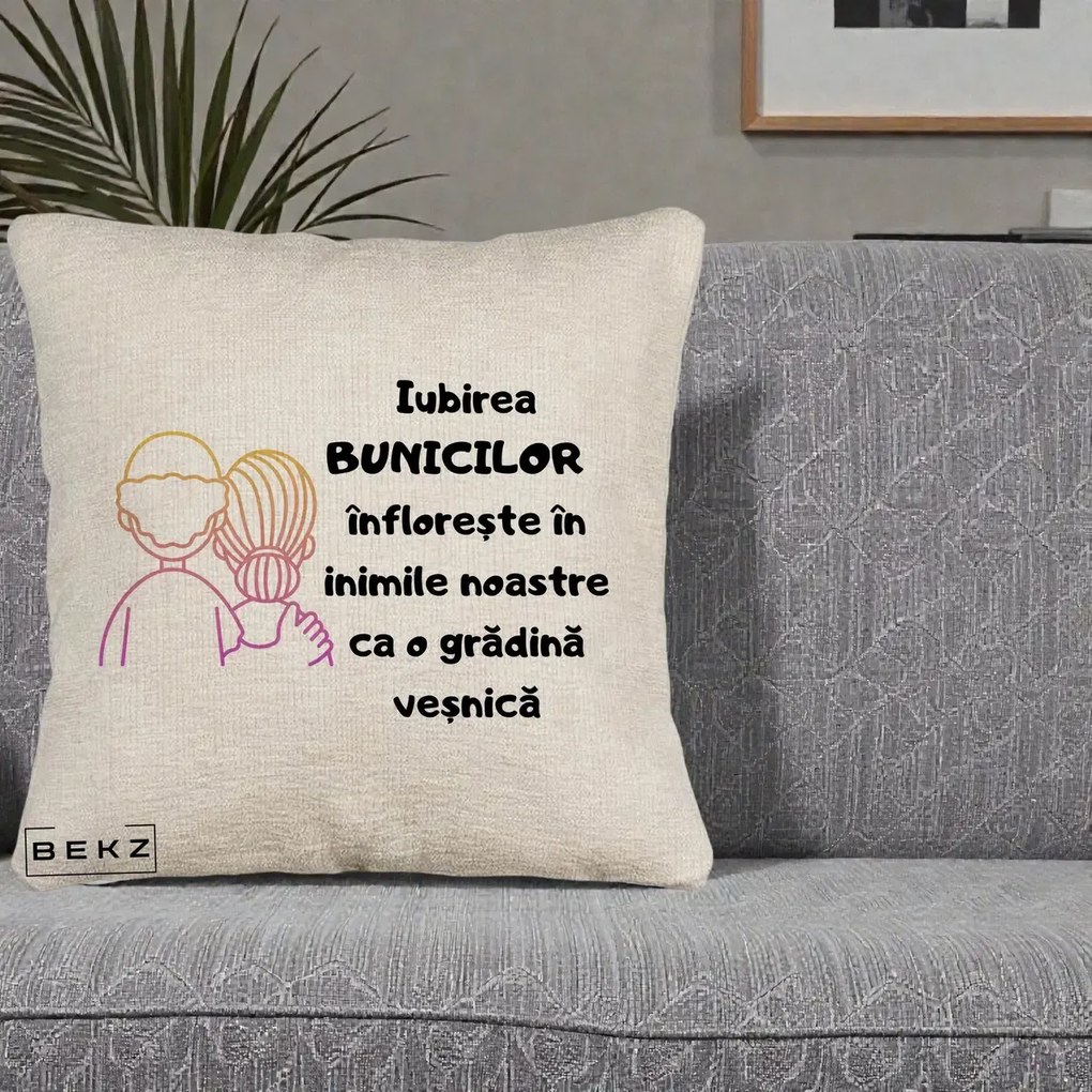 Cadou pentru Bunici - Perna Personalizata Iubirea Bunicilor Infloreste Cuplu Line Art Gradient, 40x40 cm, Bej Canapea, Husa Detasabila, Perna Inclusa, BEKZ®