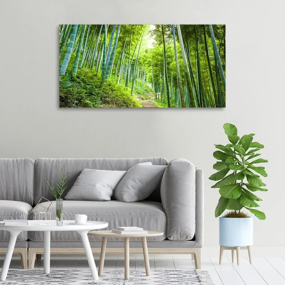 Tablou canvas Pădure de bambus