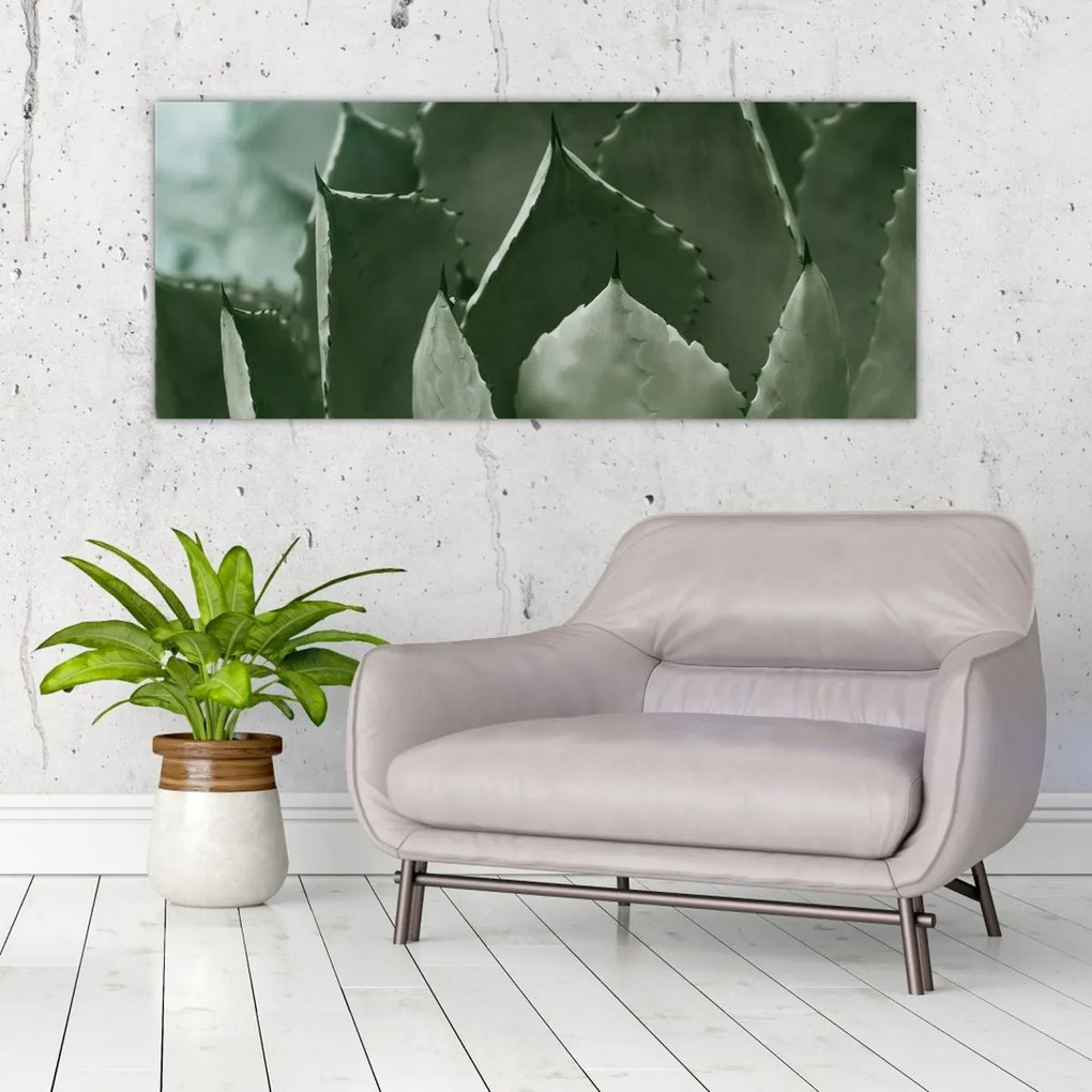 Tablou - Agave verde (120x50 cm)