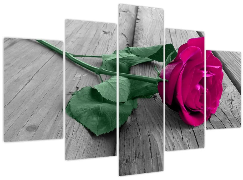 Tablou - Trandafir roz cu tulpina verde (150x105 cm)