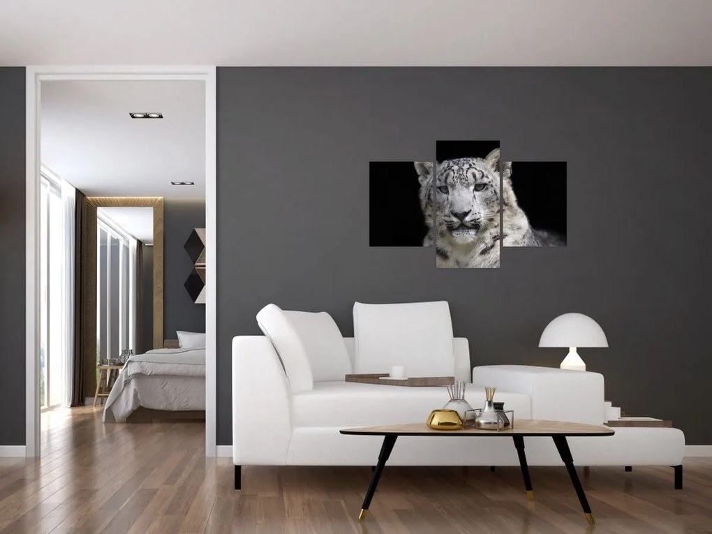 Tablou - Snow Leopard (90x60 cm)