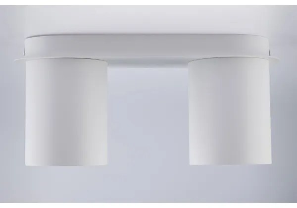 Lampă spot CREEP 2xGU10/25W/230V alb