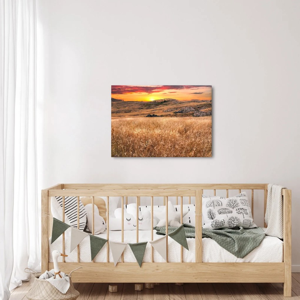 Tablou cu câmp (70x50 cm)