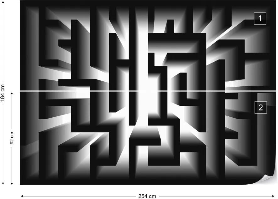 GLIX Fototapet - 3D Geometric Black And White Maze Vliesová tapeta  - 254x184 cm