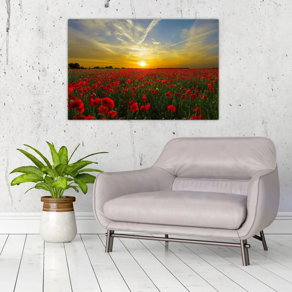 Tablou cu câmp cu maci (90x60 cm)
