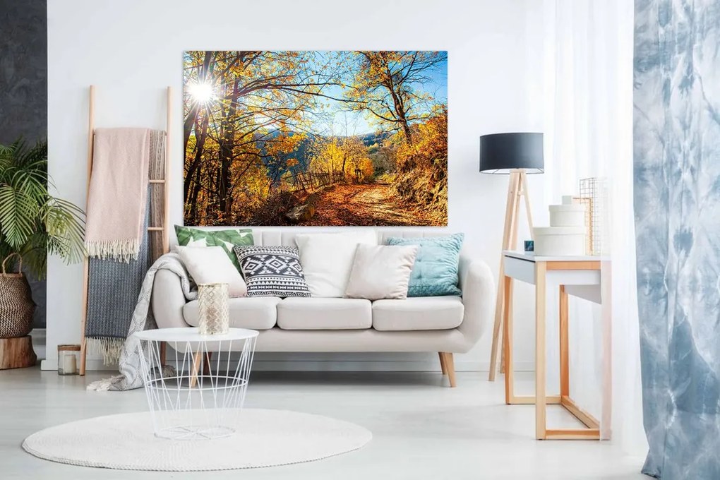 Tablou Peisaj toamna pe deal - 60x40cm