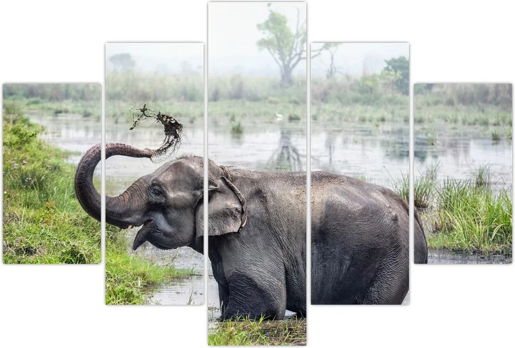 Tablou - Elefant de scăldat (150x105 cm)