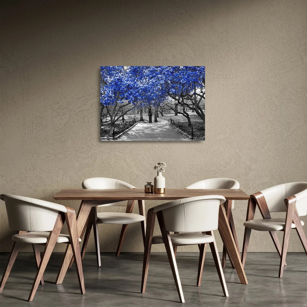 Tablou pe sticlă - Copaci albaștri Central Park, New York (70x50 cm)