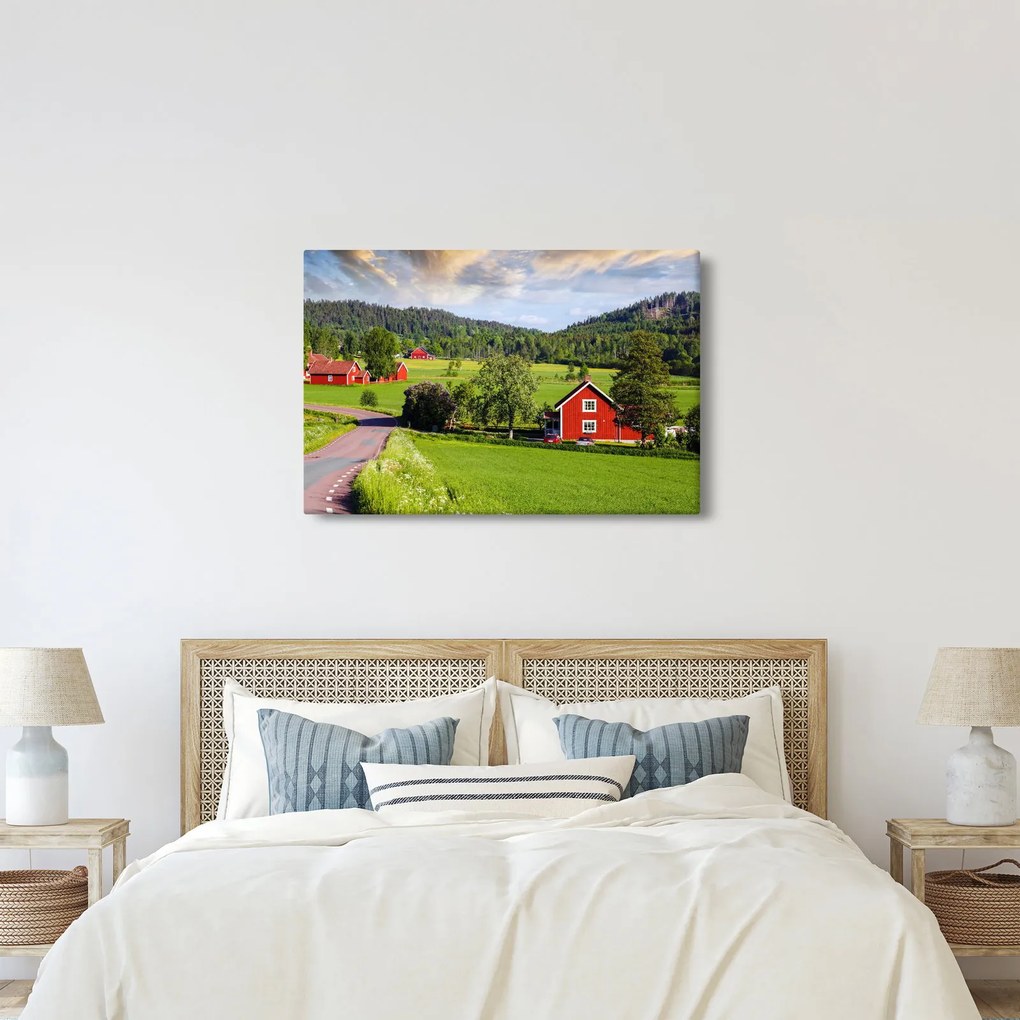 Tabloul cu țară (90x60 cm)