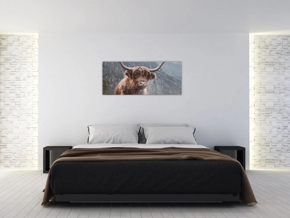 Tablou - Vaca Highlander (120x50 cm)