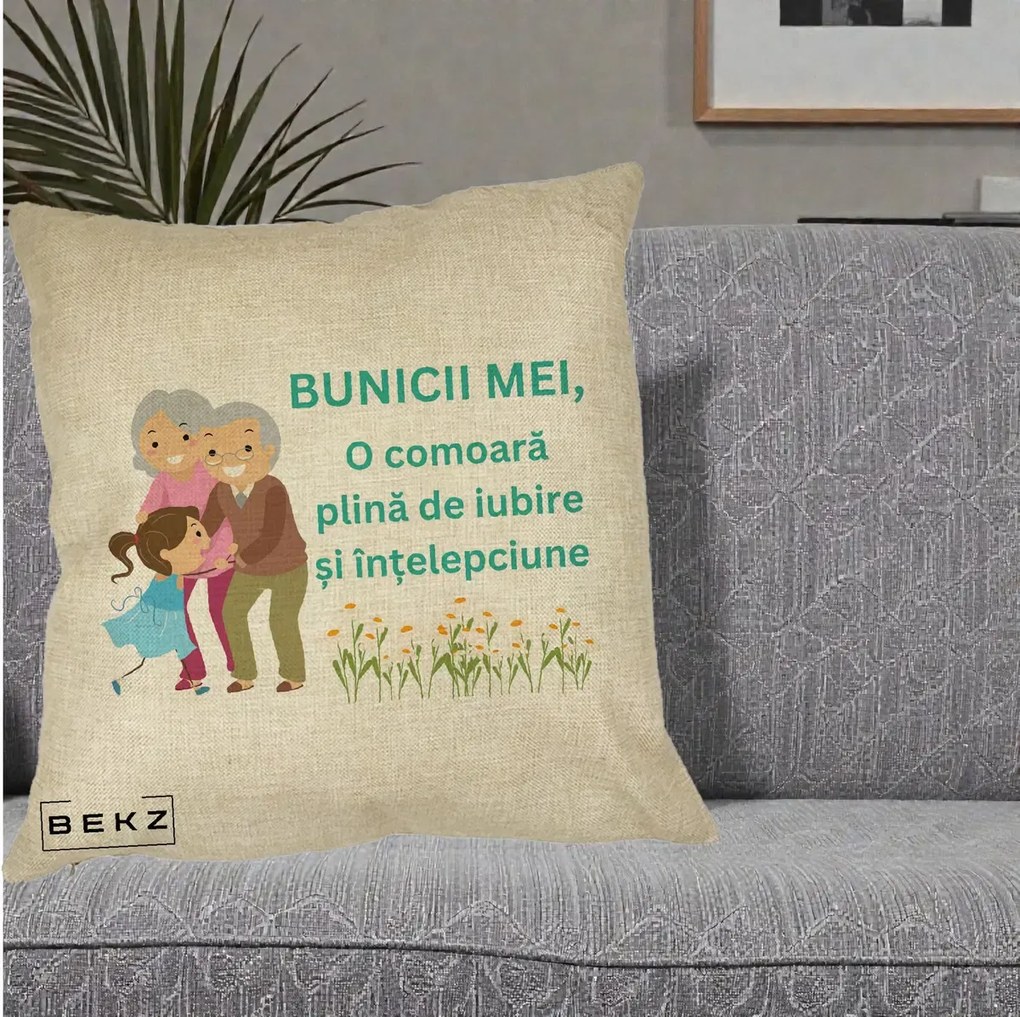 Cadou pentru Bunici - Perna Personalizata Bunicii Mei Comoara Iubire Intelepciune Nepoata, 40x40 cm, Crem, Husa Detasabila, Perna Inclusa, BEKZ®