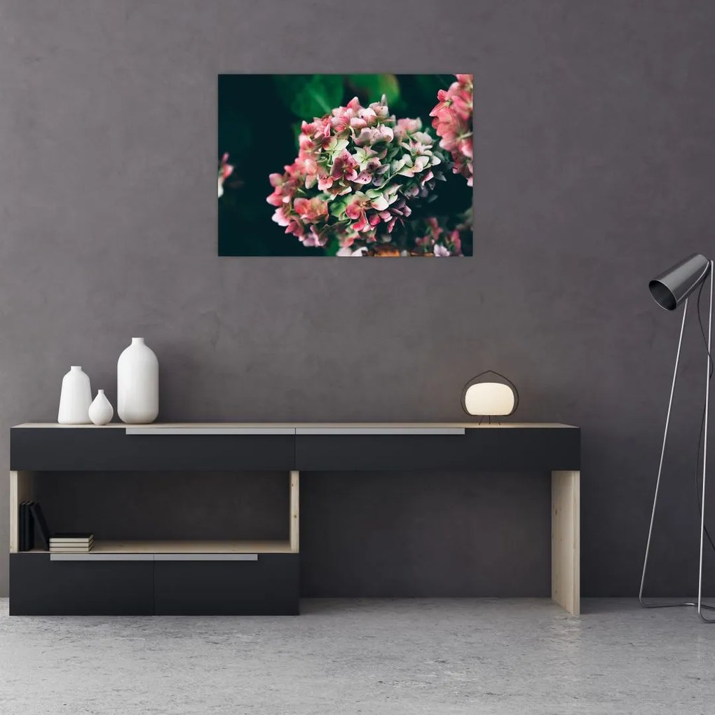 Tablou - Hortensie (70x50 cm)
