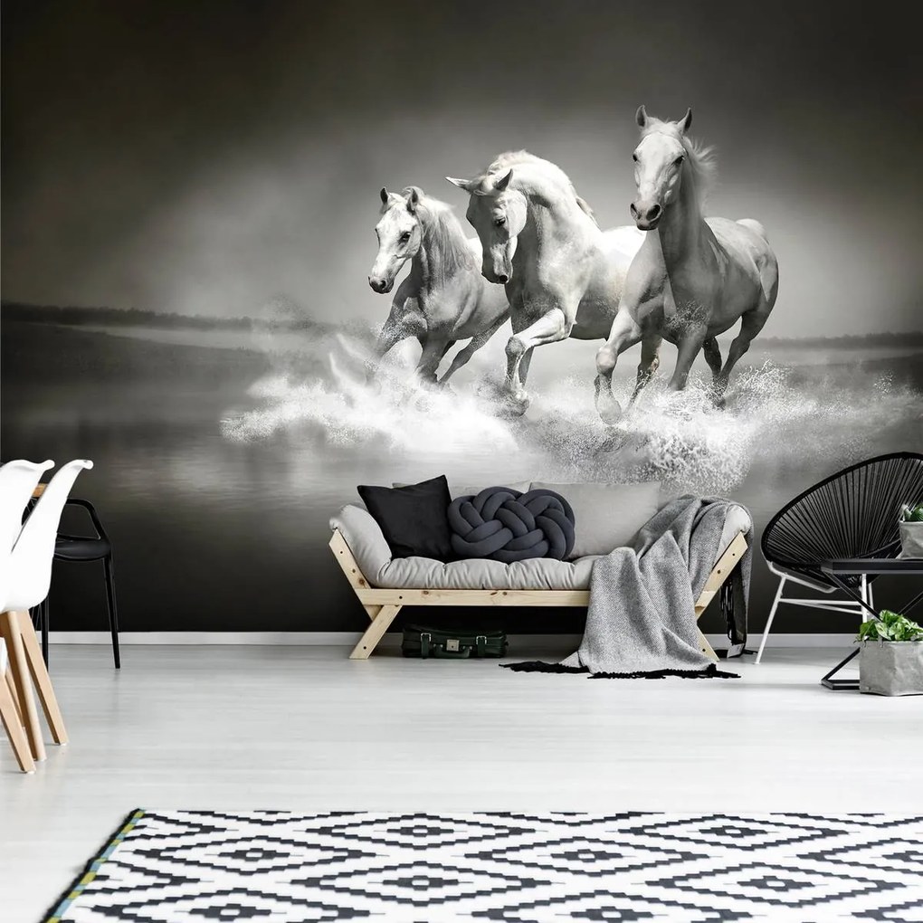 Fototapet - Caii (152,5x104 cm)