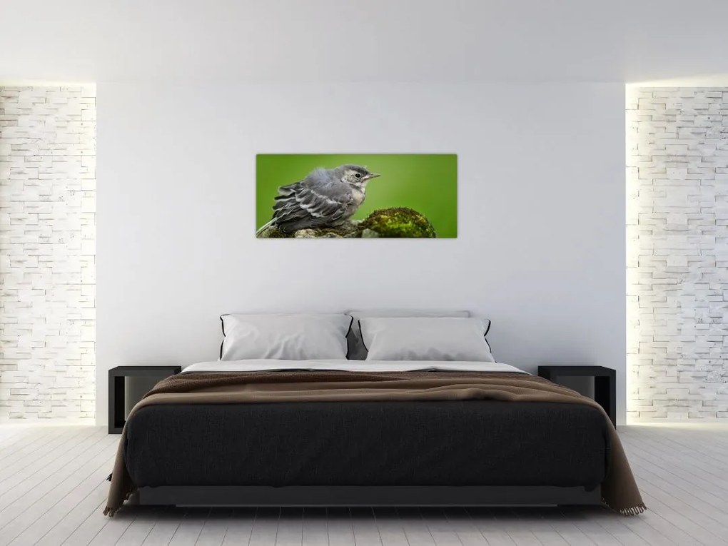 Tablou - Muscarul (120x50 cm)