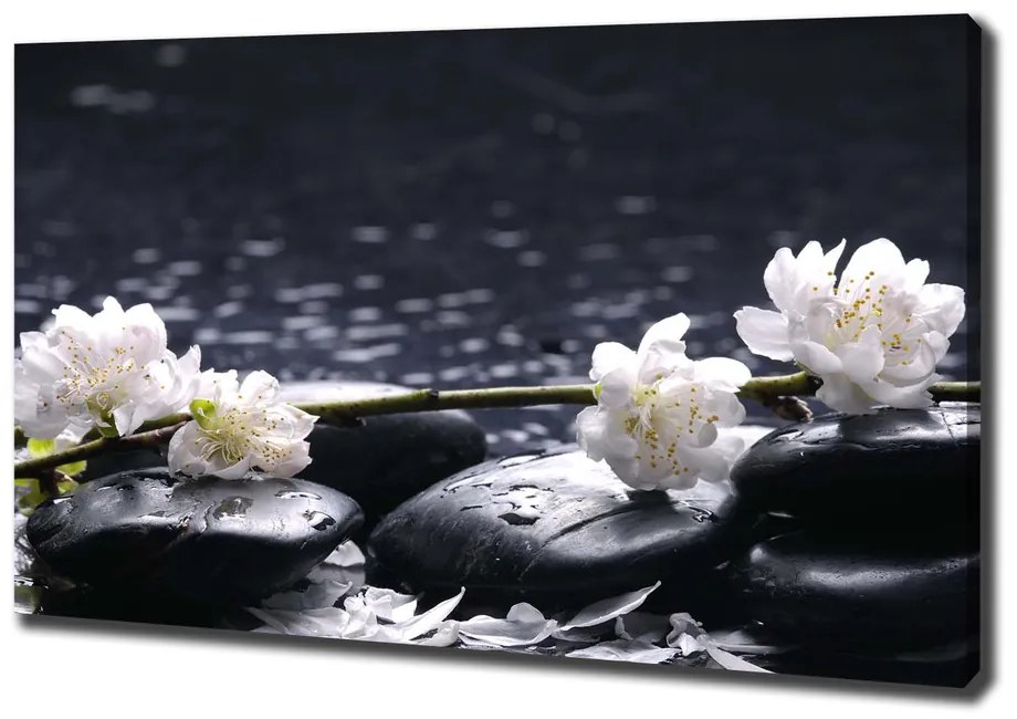 Print pe canvas Floare de cires