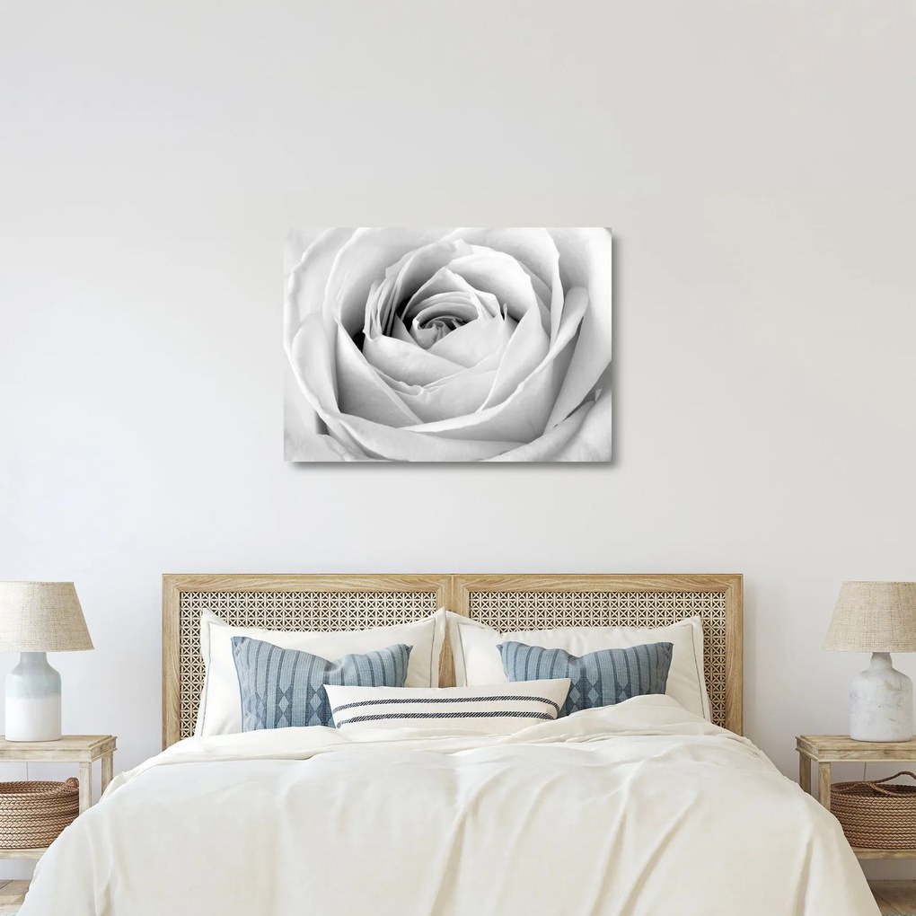 Tablou pe sticlă - Detailu de floare de trandafir (70x50 cm)