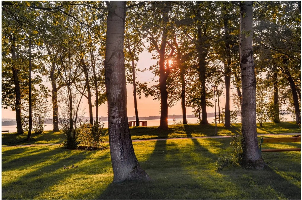 Tablou cu pomi lângă lac (90x60 cm)