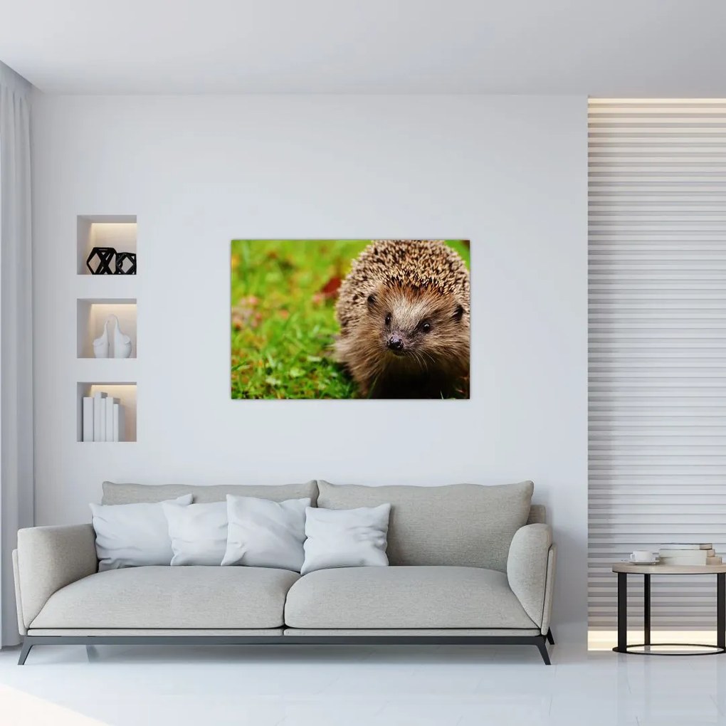 Tablou cu arici (90x60 cm)