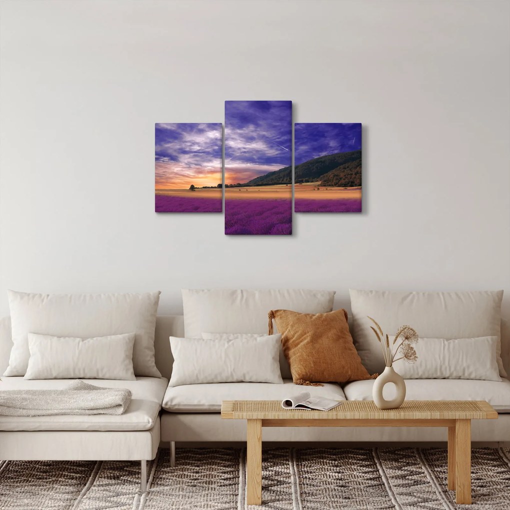 Tablou cu lunca cu lavandă (90x60 cm)