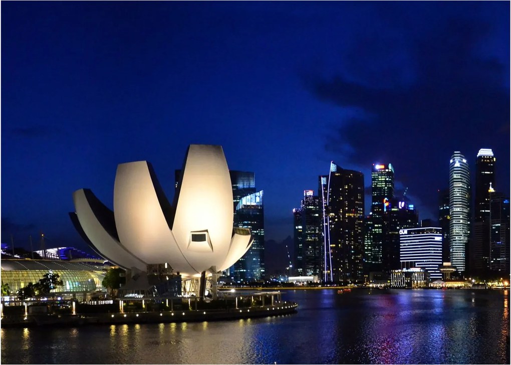 Tablou Singapore nocturn (70x50 cm)