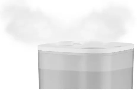 Umidificator Rowenta AQUA BOOST 2,5 l 115W/230V