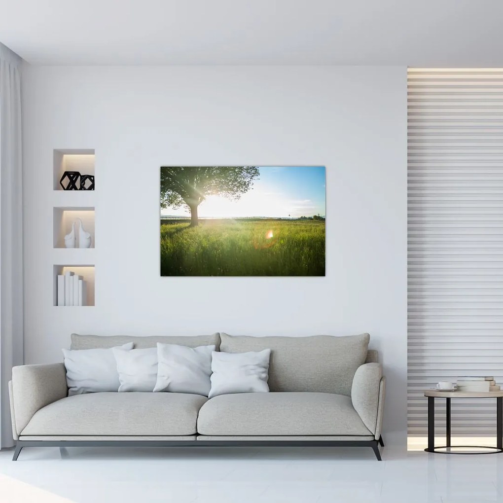 Tablou cu lunca în vară (90x60 cm)