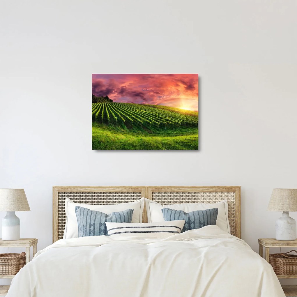 Tablou pe sticlă cu vie cu cerul color (70x50 cm)