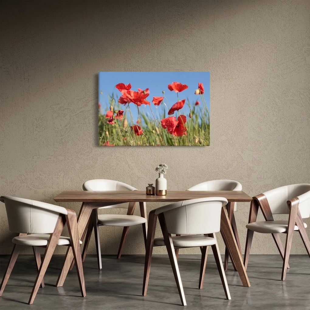 Tablou - Maci (90x60 cm)
