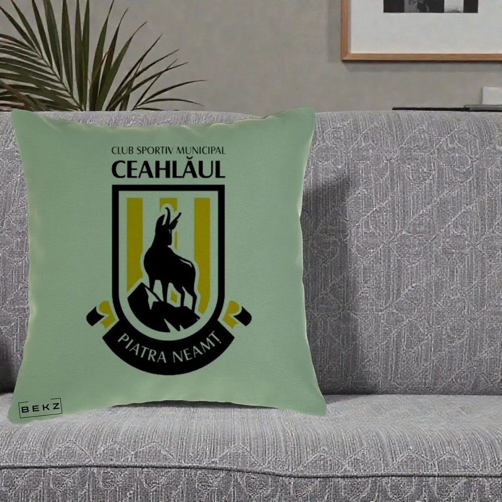 Perna Personalizata CSM Ceahlaul Piatra Neamt Fotbal, 40x40 cm, Verde, Husa Detasabila, Perna Inclusa, BEKZ®