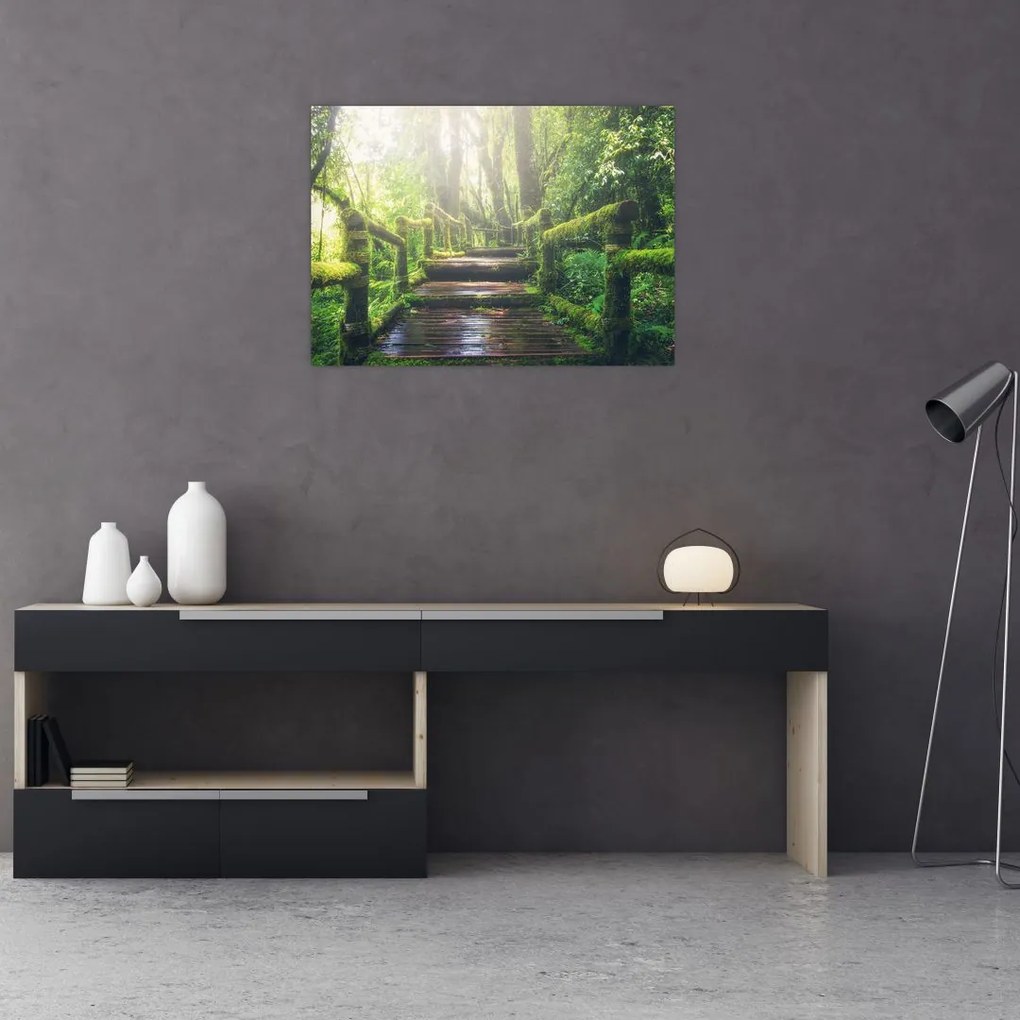 Tablou - trepte din lemn în pădure (70x50 cm)