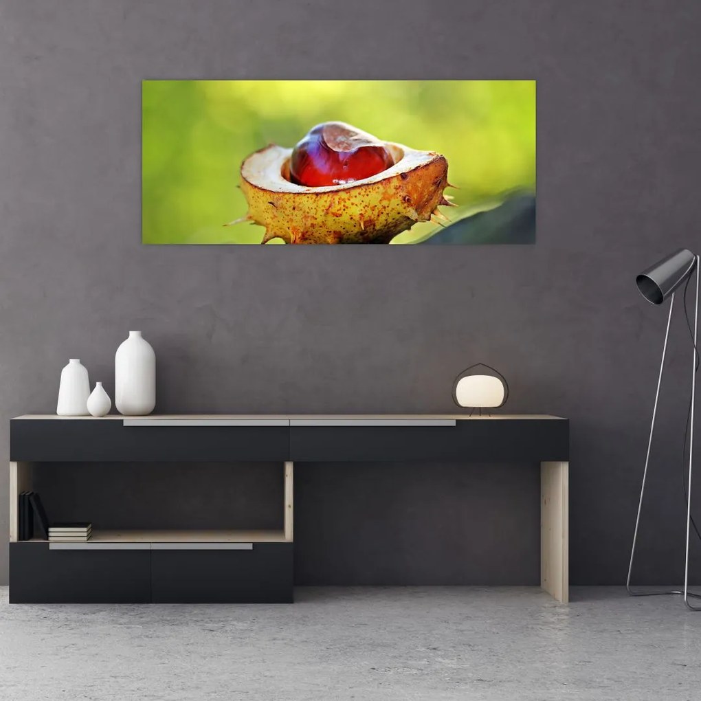 Tablou cu castani (120x50 cm)