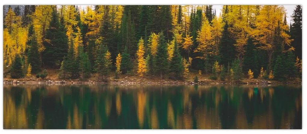 Tablou cu lac de pădure (120x50 cm)
