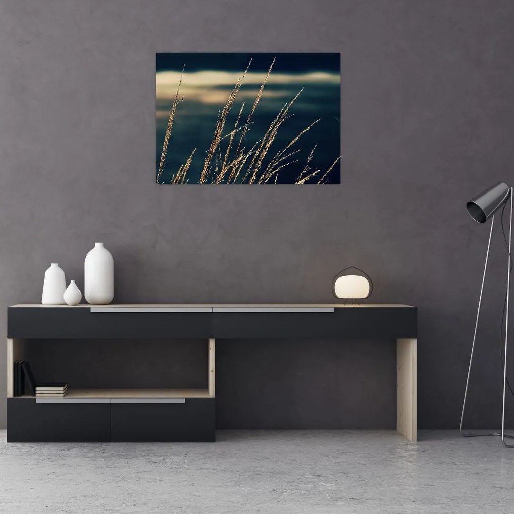 Tablou pe sticlă cu ierburi (70x50 cm)