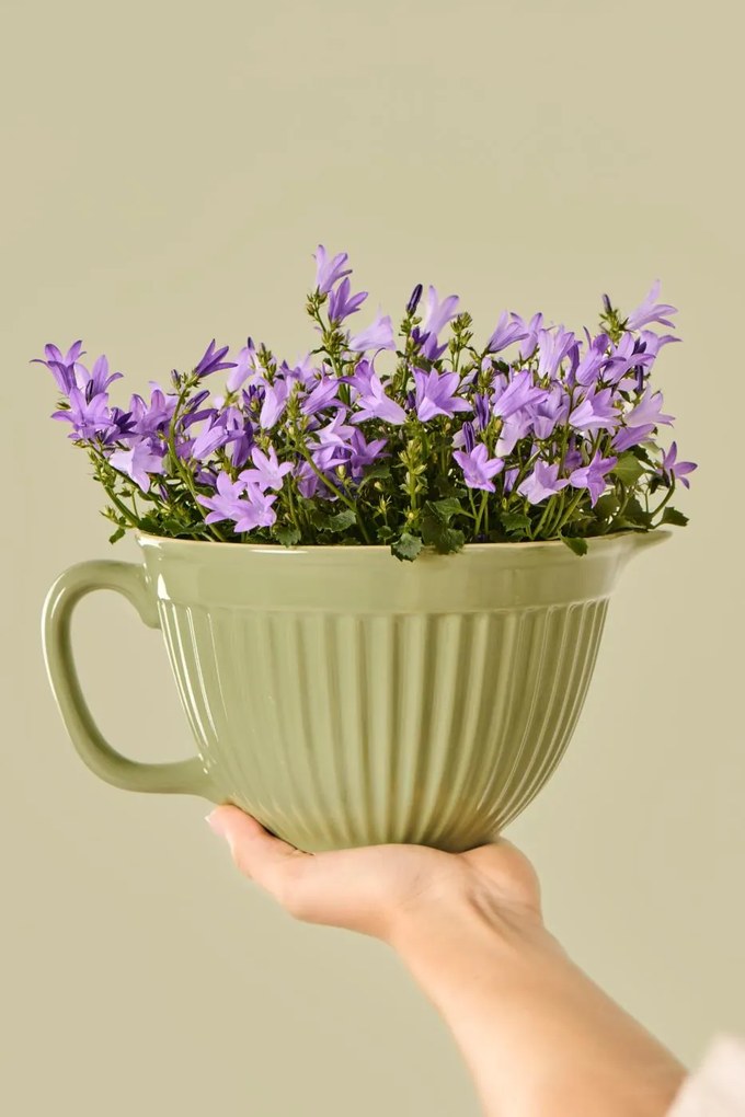 IB Laursen Vas de aluat ceramic verde MYNTE WASABI