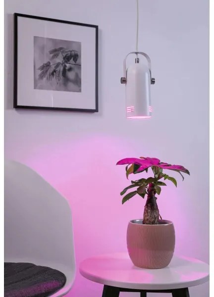 Paulmann 79767 - Lustră LAVEA LED RGBW 1xE27/9W, 230V, pe cablu, albă
