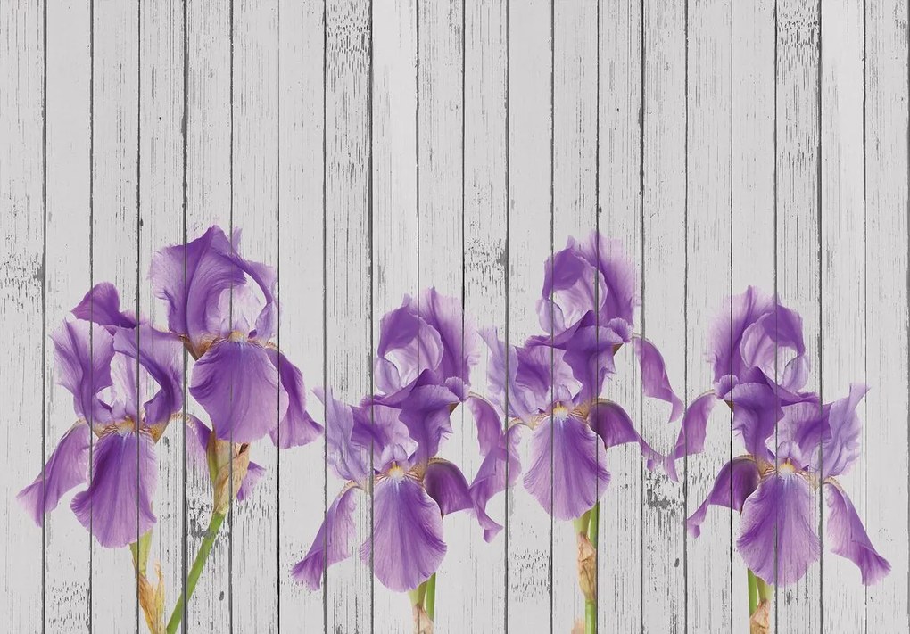 Fototapet - Iris pe scănduri de lemn (254x184 cm)