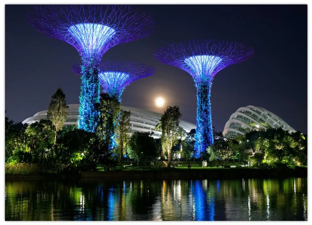 Tablou cu lună plină în grădinile din Singapur (70x50 cm)
