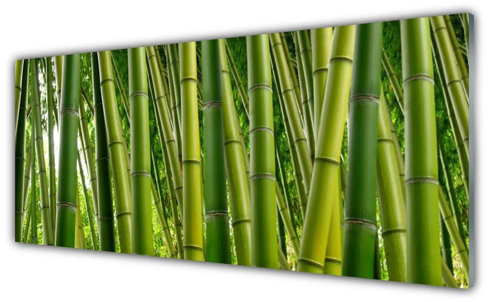 Tablouri acrilice Bamboo Tulpini Floral Verde