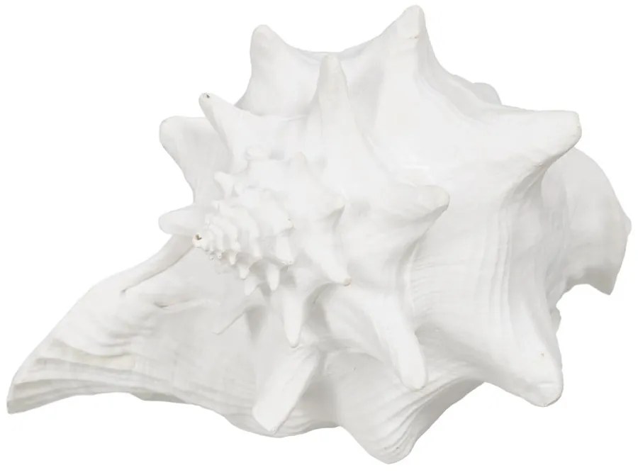 Statuetă din polirășină (înălțime 13 cm) Seashell – Ixia