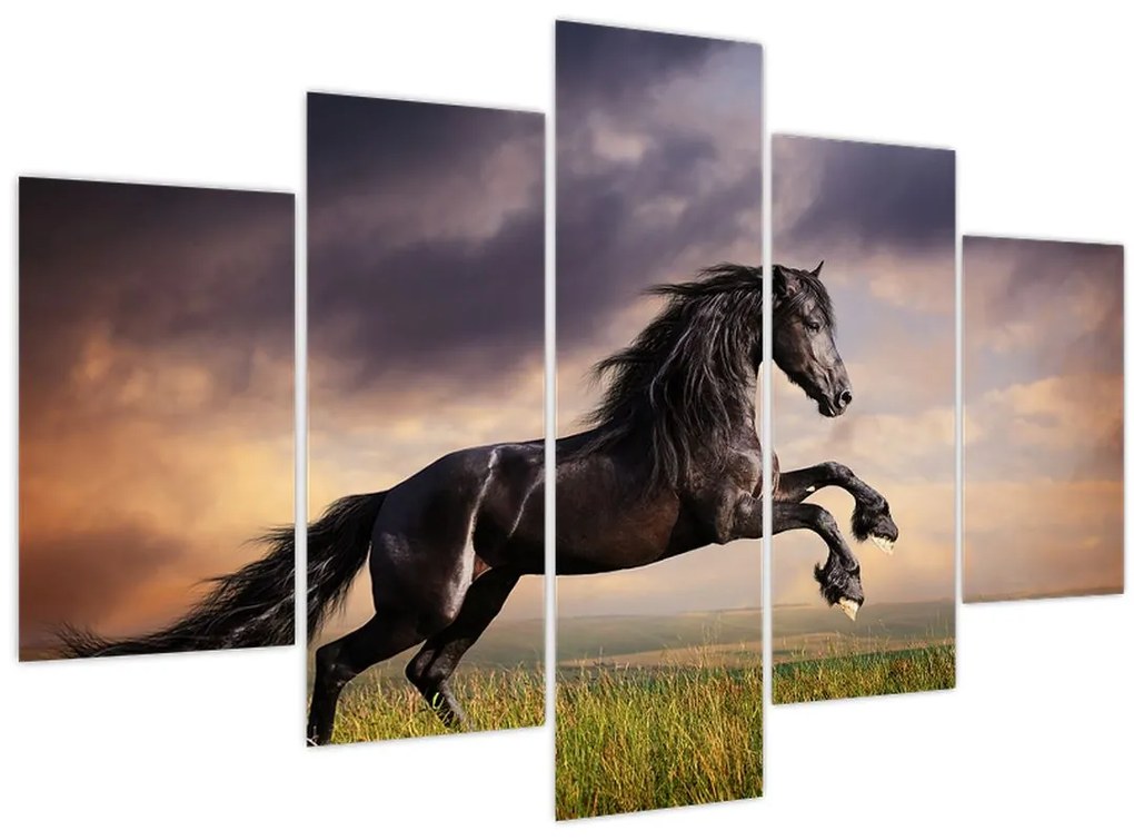 Tablou - Cai (150x105 cm)