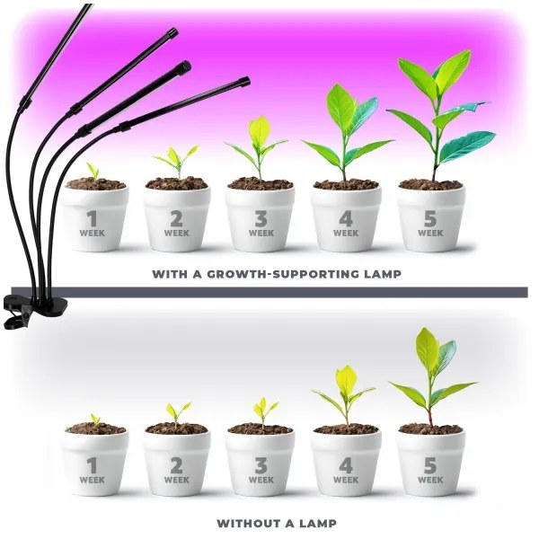 Lampă LED reglabilă cu clemă pentru plante VITARO 4xLED/10W/230V negru