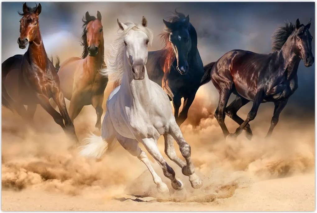 Tablou - Caii în deșert (90x60 cm)