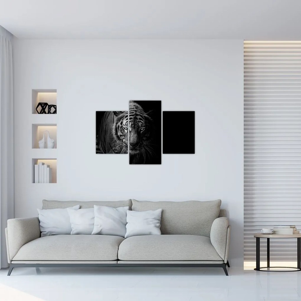Tablou - Tigru sălbatic (90x60 cm)