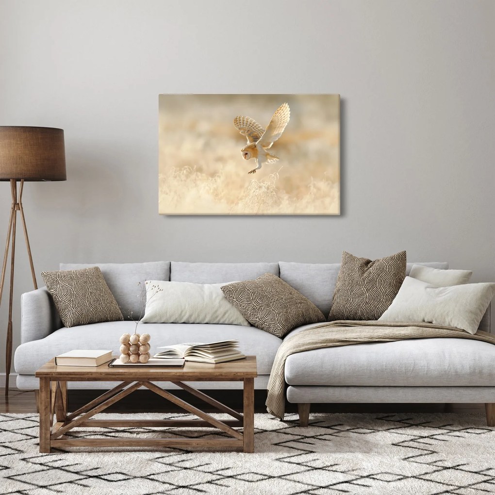 Tablou - Bufnița roșie (90x60 cm)