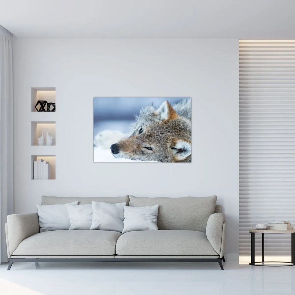 Tablou - Lup (90x60 cm)