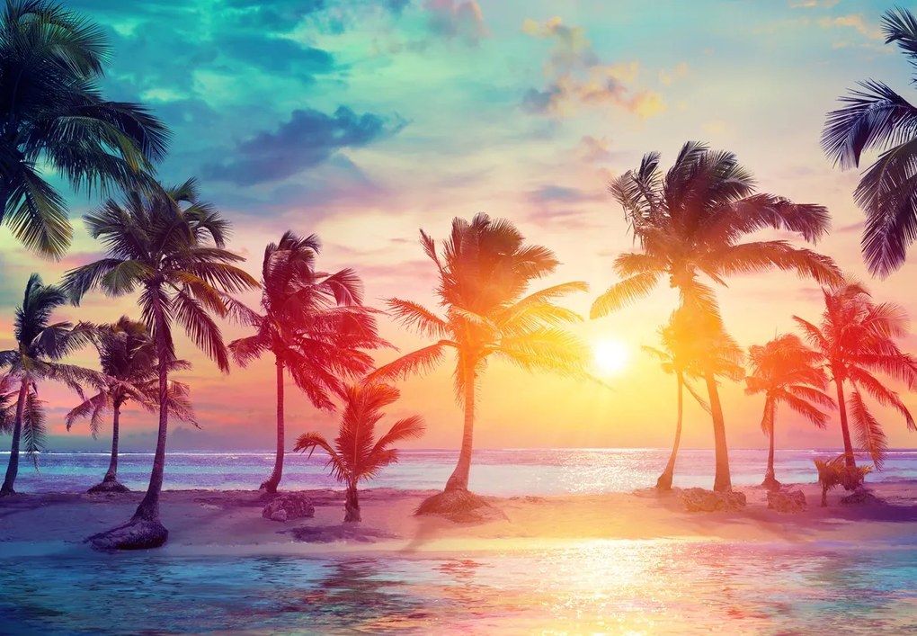 Fototapet - Apus de soare tropical (147x102 cm)