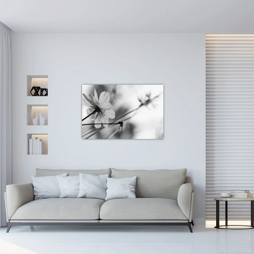 Tablou - Flori alb-negru (90x60 cm)