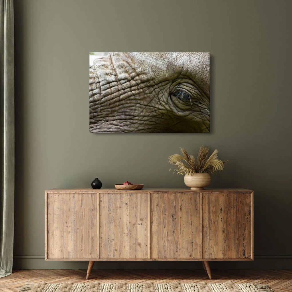 Tablou - Prim-planul ochiului de elefant vechi (90x60 cm)