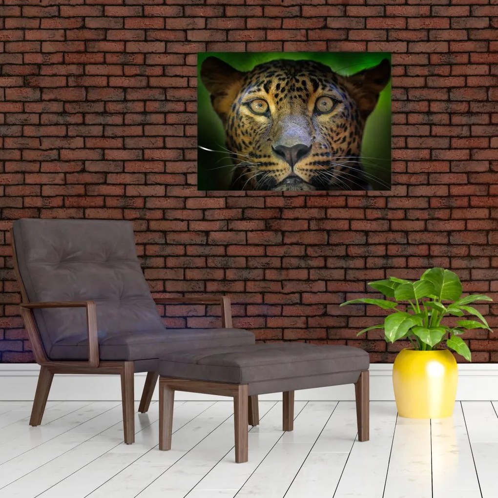 Tablou pe sticlă - Portretul leoparduslui, Sri Lanka (70x50 cm)
